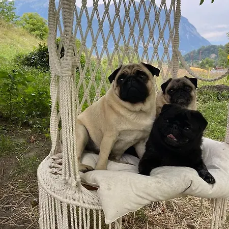Homestay Cozy In An Old Near Vaduz Sevelen