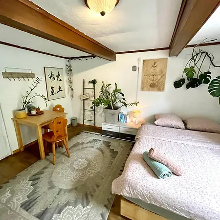 Cozy In An Old Farmhouse Near Vaduz * Sevelen