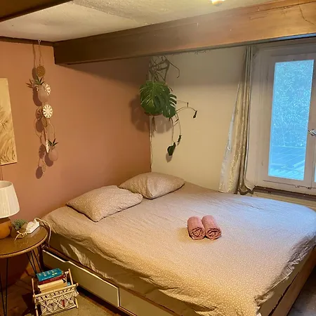 Cozy In An Old Near Vaduz Homestay