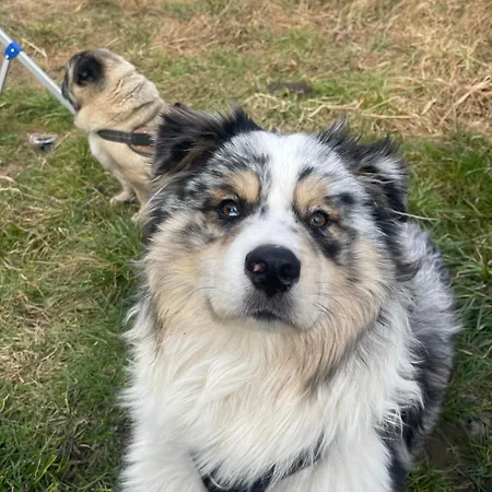 Cozy In An Old Near Vaduz Kwatera prywatna Sevelen
