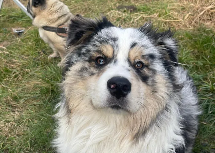 Cozy In An Old Near Vaduz 홈스테이 Sevelen