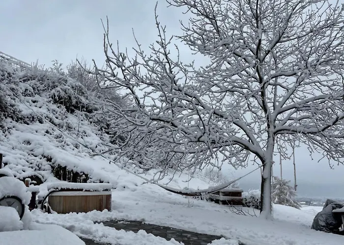 Cozy In An Old Near Vaduz *