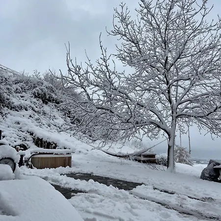 Cozy In An Old Near Vaduz *